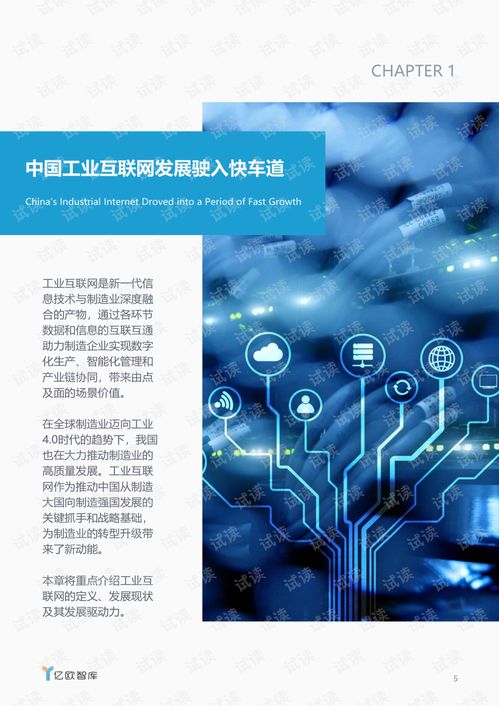 賽意信息專項研究 電子信息產業工業互聯網發展報告